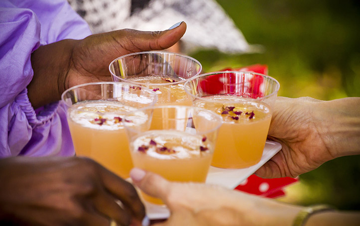 Summer Cocktails in the Park