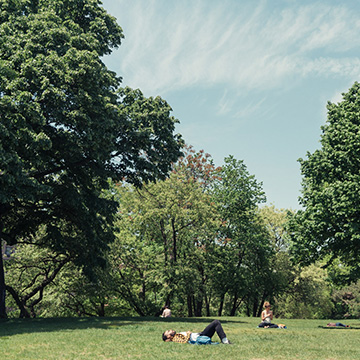 Fort Greene Neighbornhood