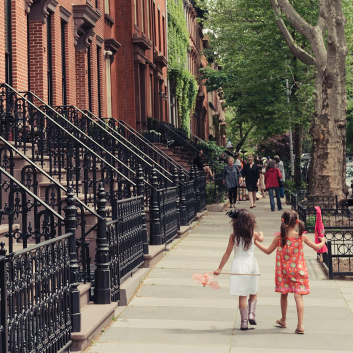 Fort Greene Neighbornhood